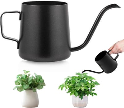 Kleine zwarte gieter voor kamerplanten, 250 ml roestvrijstalen mini-gieter met lange uitloop, ideaal voor bonsai en bloemen in huis en tuin