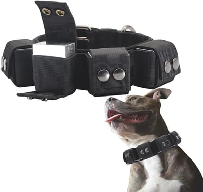 Tactische hondenhalsband met gewichten voor training - Voor kleine, middelgrote en grote honden