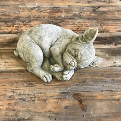 Betonnen tuinbeeld - pup French Bulldog / puppy