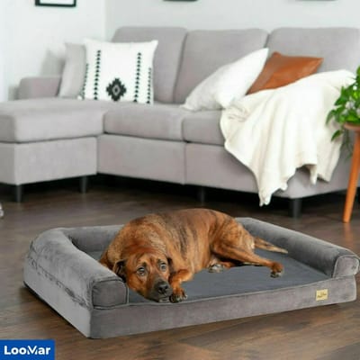 LooMar Hondenbed Medium - Hondenbank - Hondenzetel - Hondensofa - Hondenbench - Hondenbed - Hondenstoel - dierenfauteuil - Hondenmand - Donkergrijs