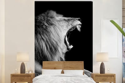 Behang - Fotobehang Leeuw - Wilde dieren - Gras - Zwart - Wit - Breedte 155 cm x hoogte 240 cm
