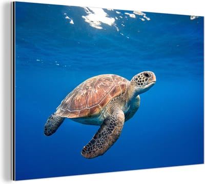Wanddecoratie Metaal - Aluminium Schilderij Industrieel - Schildpad in de oceaan - 30x20 cm - Dibond - Foto op aluminium - Industriële muurdecoratie - Voor de woonkamer/slaapkamer