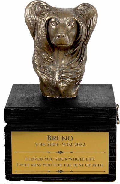 Urn hond met gravure en sculptuur van Chinese Naakthond Puff, handgemaakt