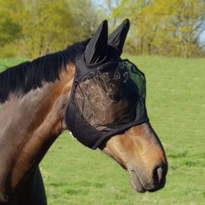 Anti-vliegenmasker voor paarden York