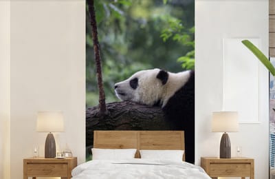 Behang - Fotobehang Panda - Boom - Dieren - Natuur - Breedte 120 cm x hoogte 240 cm