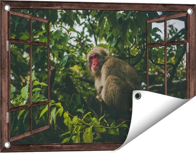 Gards Tuinposter Doorkijk Aap in de Boom tussen de Bladeren - 60x40 cm - Tuindoek - Tuindecoratie - Wanddecoratie buiten - Tuinschilderij