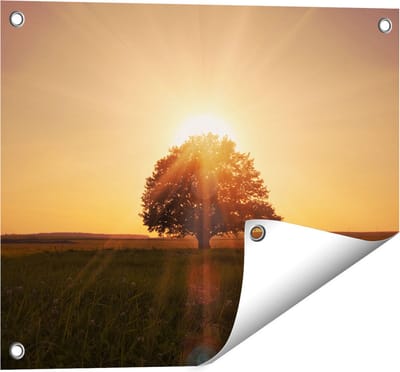 Gards Tuinposter Zonsondergang Achter een Grote Boom - 50x40 cm - Tuindoek - Tuindecoratie - Wanddecoratie buiten - Tuinschilderij
