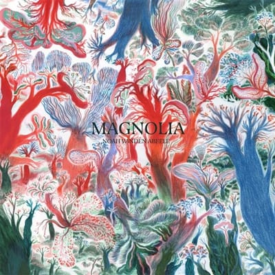 Noah Vanden Abeele - Magnolia (LP)