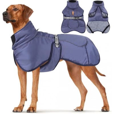 Winterhondenkleding Voor Grote Honden Warme Fleece Grote Hondenjas Waterdichte Huisdierenjas Met Tuig Labrador Kleding Huisdierenkostuum XL