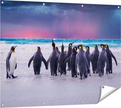Gards Tuinposter Groep Pingu�ns bij het Water - Kudde - 120x90 cm - Tuindoek - Tuindecoratie - Wanddecoratie buiten - Tuinschilderij