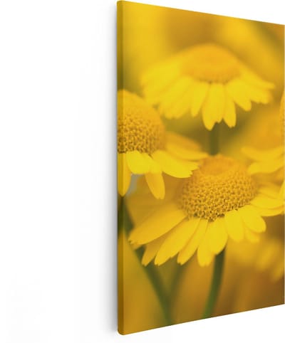 Artaza Canvas Schilderij Bloemen - 80x120 cm - Groot - Wanddecoratie Geel - Muurdecoratie Bloemen Woonkamer - Schilderij Bloemen Close-Up
