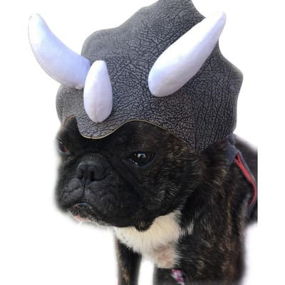 Huisdier Hoofddeksel Triceratops Huisdier Hoed Grappige Huisdier Kleding Hond Kat Verkleedfeest Kleding Cosplay