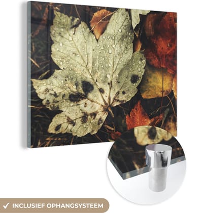 MuchoWow® Glasschilderij 40x30 cm - Schilderij acrylglas - Herfstbladeren - Herfst - Seizoenen - Natuur - Foto op glas - Schilderijen