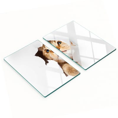 Geharde multifunctionele decoratieve glazen borden met de afbeelding van een kat in een gat, 2x40x52 cm