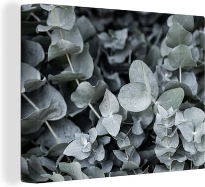 Canvas Schilderij Natuur - Planten - Eucalyptus - Bladeren - 40x30 cm - Wanddecoratie