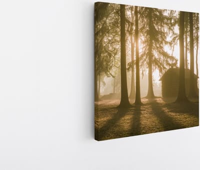 Saammp Canvas Schilderij - Huis - Grote Bomen - Landschap - Natuur - 30x30 - Foto op canvas - Wanddecoratie - Muurdecoratie Woonkamer - Slaapkamer decoratie - Canvas Print