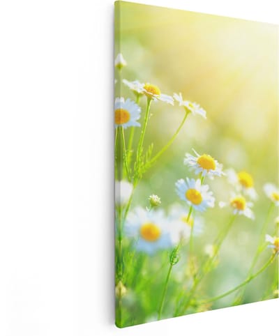 Artaza Canvas Schilderij Bloemen In Zonlicht - 20x30 cm - Klein - Muurdecoratie Woonkamer - Wanddecoratie Lente - Kamer Accessoires