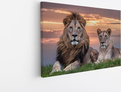 Saammp Canvas Schilderij - Leeuwenkoppel met afrikaanse zonsondergang - Dieren - Natuur - 45x30 - Foto op canvas - Wanddecoratie - Muurdecoratie Woonkamer - Slaapkamer decoratie - Canvas Print