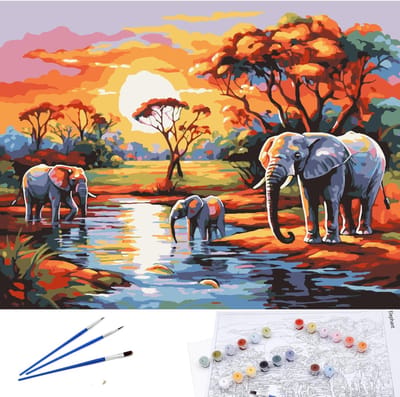 Dailygoods- Schilderen-op-nummer-canvas 30x40cm - 20 Kleuren - 2 Penselen - Compacte Opbergdoos - Ideaal voor Beginners/Kunstenaars - Perfect voor Creativiteit - Schilderpakket