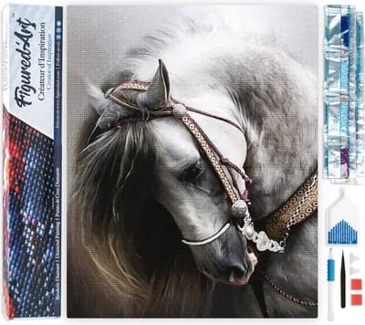 Figured'Art Diamond Painting set Volwassenen 40x50 cm Geweldig paard - 5D DIY Art full drill vierkante diamant - Opgerold canvas