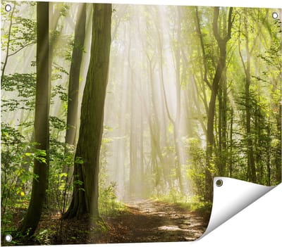 Gards Tuinposter Bos met Bomen en Zonneschijn - 80x60 cm - Tuindoek - Tuindecoratie - Wanddecoratie buiten - Tuinschilderij