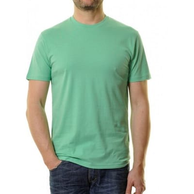 Ragman T-Shirt Uni Round Neck Single Jersey Pastel Groen / male