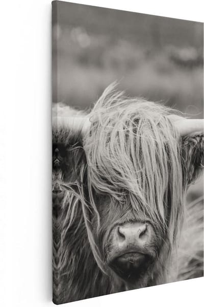 Artaza Canvas Schilderij Schotse Hooglander - 80x120 cm - Groot - Wanddecoratie Zwart Wit - Muurdecoratie Woonkamer - Schilderijen Op Canvas Dieren