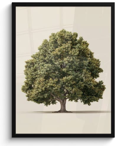 Poster in lijst - Fotolijst 60x80 cm - Posters - Eikenboom - Groen - Lichte achtergrond - Posterlijst zwart - Decoratie - Wanddecoratie woonkamer - Muurdecoratie slaapkamer