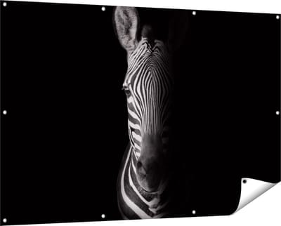 Gards Tuinposter Halve Zebra - Zwart Wit - 150x100 cm - Tuindoek - Tuindecoratie - Wanddecoratie buiten - Tuinschilderij