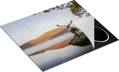Chefcare Inductie Beschermer Hert bij een Meer - 60x50 cm - Afdekplaat Inductie - Kookplaat Beschermer - Inductie Mat