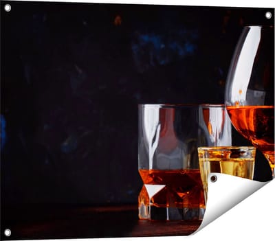 Gards Tuinposter Sterke Alcohol Drank - Glazen - 80x60 cm - Tuindoek - Tuindecoratie - Wanddecoratie buiten - Tuinschilderij