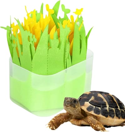 Terrarium Bevochtiger - Klimaatregelaar Reptielen - Natuurlijke Vochtigheid - Passieve Verdamping - 30g Lichtgewicht - Groen