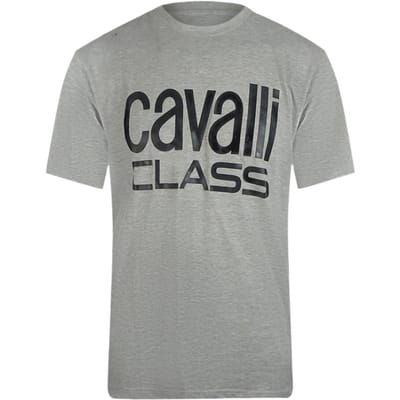 Cavalli Class Bold Brand Grijs T-shirt