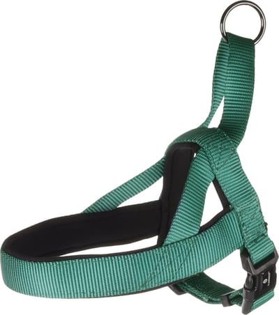 Flamingo Abbi Noors - Harnas Honden - Noors Harnas Abbi Groen Xs 35-42cm 20mm - 1st - 190729 - 1st