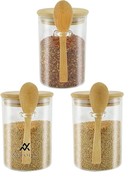 Nevolis 3 stuks glazen voorraadpotten met deksel en lepel - 600 ml keukenopslagcontainers voor thee/suiker/koffiebonen/specerijen luchtdichte potten .
