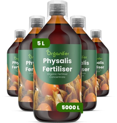 Vloeibare Meststof Voor Physalis 5X1 L Voor 5000 L - Npk 2-1-8 - Gelijkmatige Groei - Compacte Plantstructuur - Betrouwbare Vruchtzetting - Vruchtstevigheid - Sterk Wortelstelsel - Hittebestendig - Continue Vruchtproductie - Organifer