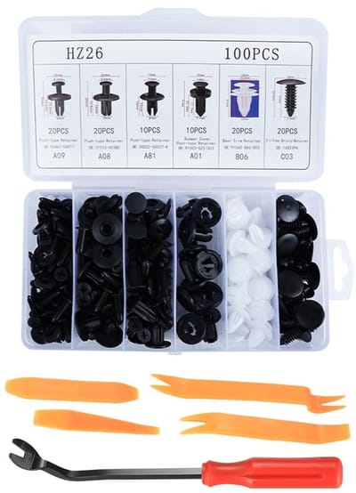 Dailygoods- Bekledingsclips Set van 100 - Duurzame Kunststof - Auto Clips en Pluggen - Gereedschap voor Verwijderen - Paneelbevestiging - Opbergdoos - Autoclips