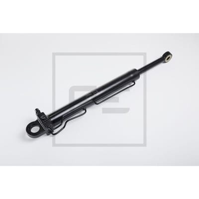 Kantelcilinder, cabine PETERS 123.654-00A