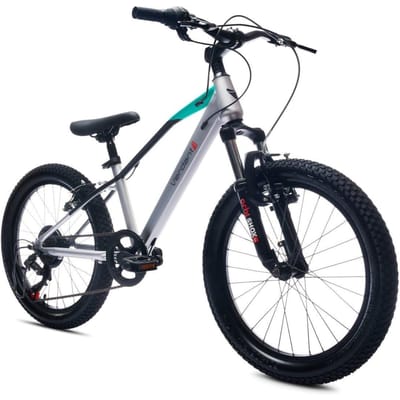 Verdant Kinderfiets voor jongens van 6 tot 10 jaar, 20 inch, 6 versnellingen, Shimano kinderfiets, verstelbare hoogte (Zilver)