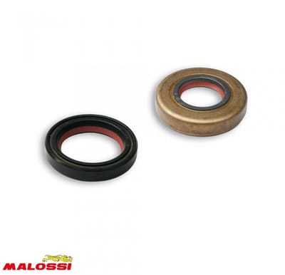 Joint spi moteur Malossi pour Moto MBK 50 X-Limit Après 1997 Neuf