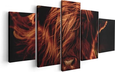 Artaza Canvas Schilderij Vijfluik Schotse Hooglander Koeienkop - Kleur - 100x50 - Foto Op Canvas - Canvas Print