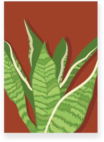 Poster 20x30 cm - Sansevieria - Planten - Groen - Roodbruin - Botanisch - Minimalistisch - Muurdecoratie - Wanddecoratie
