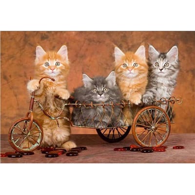5D Diy Diamond Painting dieren kat Diamantborduurwerk 20X30CM beige