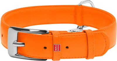 WAUDOG Glamour Halsband / Hondenhalsband - Echt Leder - Oranje - XL - Breedte: 35 mm - Nekomtrek: 46 - 60 cm (GELIEVE ALVORENS BESTELLEN OPMETEN)