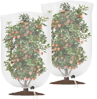 Dailygoods- Plantenbeschermingsnet 2 Stuks - Insectenwerend Net - Vogelbeschermingsnet - Groentennet - UV-bestendig - 100 x 150 cm - Groentebeschermingsnet