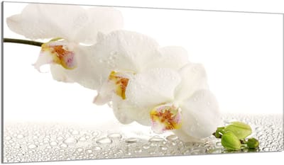 TMK ArtDeko - Orchidee Snijplank - Glas - 90x52 cm
