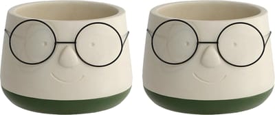 Ideas4seasons Bloempot/plantenpot gezicht met brilletje - 2x - wit/groen - voor kamerplant - D14