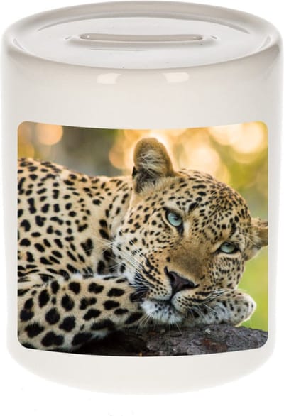 Dieren foto spaarpot luipaard - 9 cm - jaguars/ luipaarden - spaarpotten - jongens en meisjes - cadeau