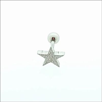 Aramat Jewels | Piercings | Ster Oorbellen met Helixpiercing - Gediamanteerd | | | |8mm | Staal | Volwassenen | Verkleurd niet