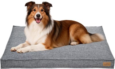 BingoPaw Modern Hondenkussen XL - 105 x 69 x 10 cm - Orthopedisch Hondenbed - Afneembare en Wasbare Hoes - Waterafstotend & Antislip - Grijs